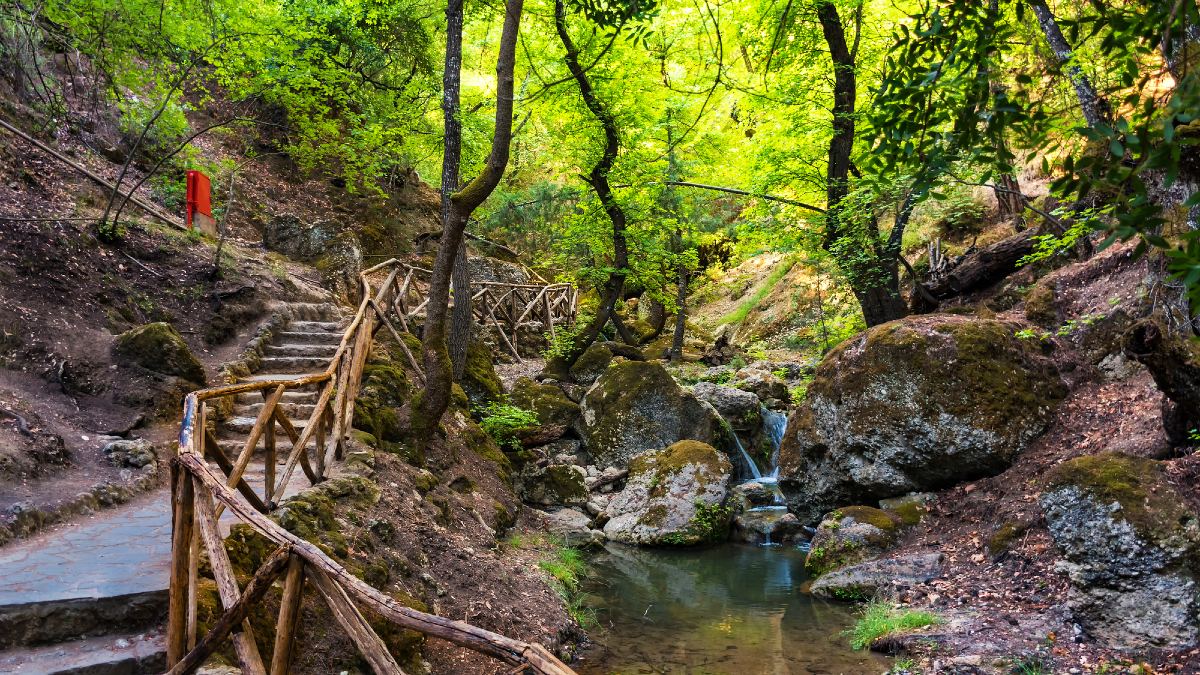 Valle delle Farfalle Rodi